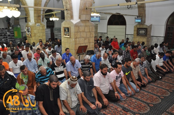 7san bek jsh (13).JPG